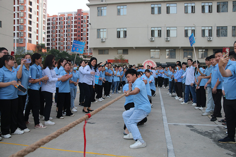 香港六宝典资料查询