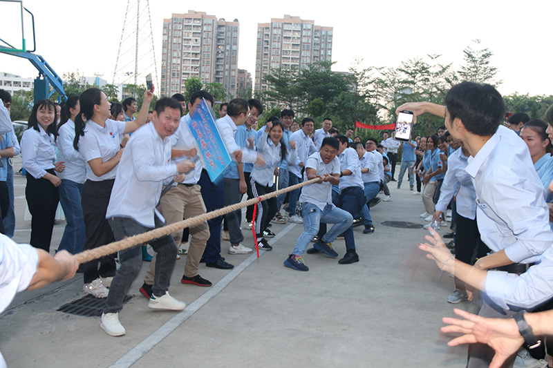 香港六宝典资料查询