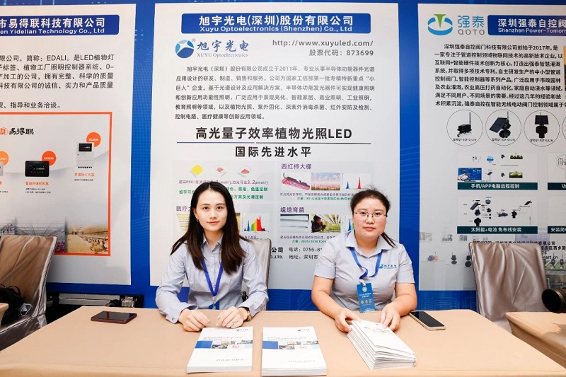 香港六宝典资料查询