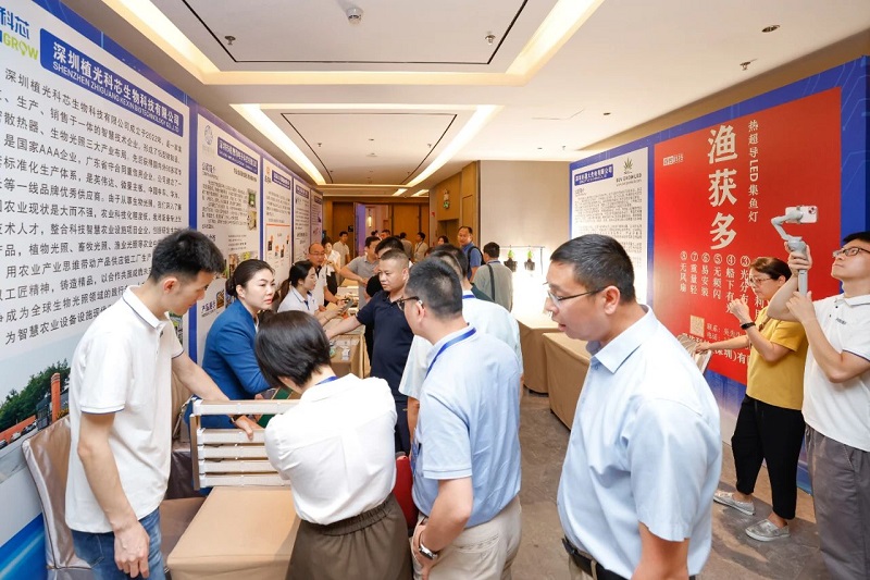 香港六宝典资料查询