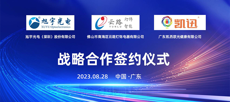 香港六宝典资料查询