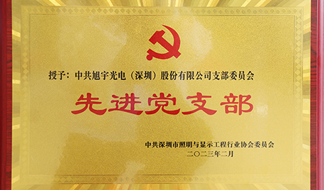 践行初心，担当使命丨旭宇光电获评“先进党支部”