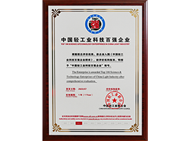 中国轻工业科技百强企业