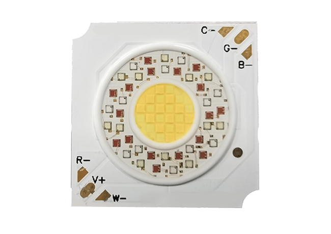 香港六宝典资料查询