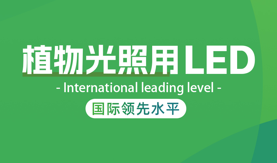 旭宇光电植物照明LED：高光量子效率驱动农业现代化与节能